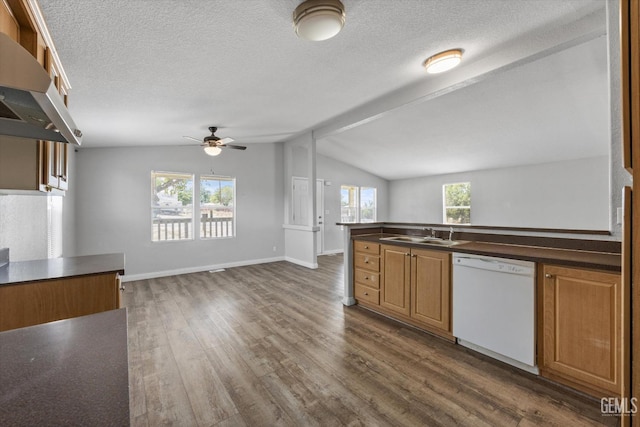 kitchen featuring lofted ceiling, sink, ceiling fan, white dishwasher, and ventilation hood