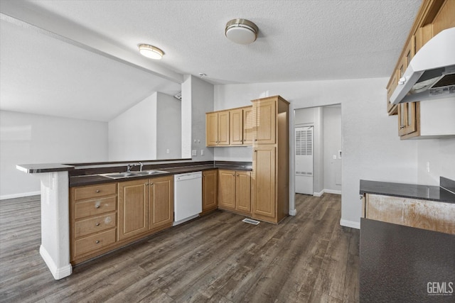 kitchen featuring lofted ceiling, extractor fan, sink, white dishwasher, and kitchen peninsula