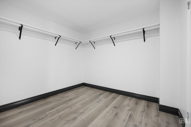 walk in closet featuring light hardwood / wood-style flooring