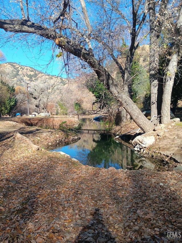 water view featuring a mountain view