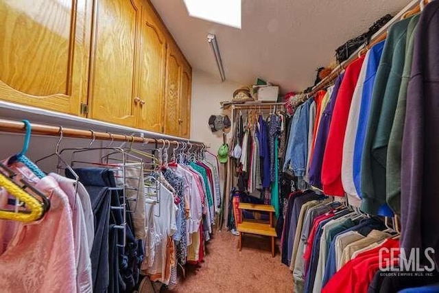 walk in closet with carpet floors