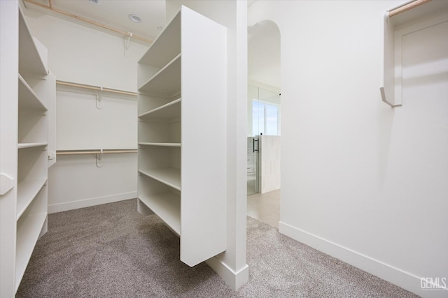 spacious closet with carpet floors