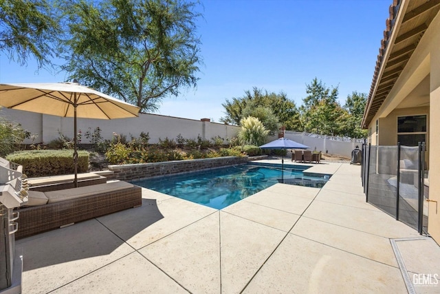 view of swimming pool featuring a patio area