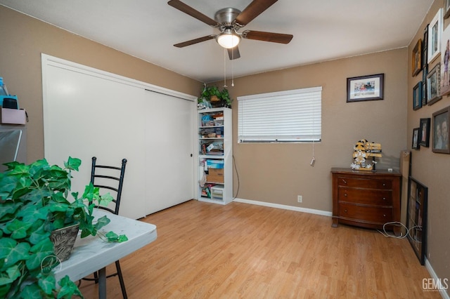 office featuring ceiling fan and light hardwood / wood-style flooring