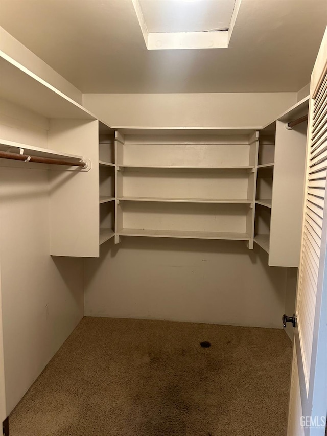 walk in closet featuring carpet