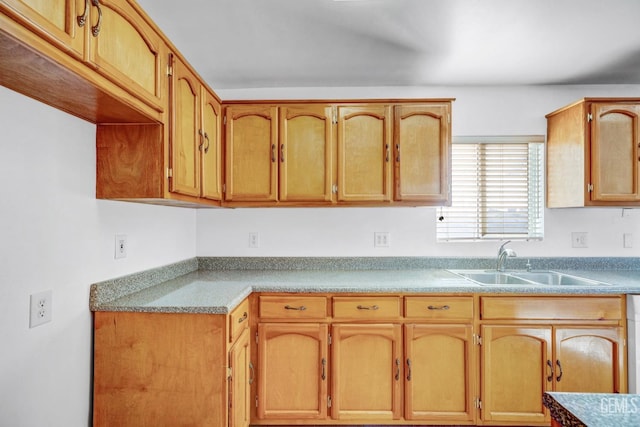 kitchen featuring sink