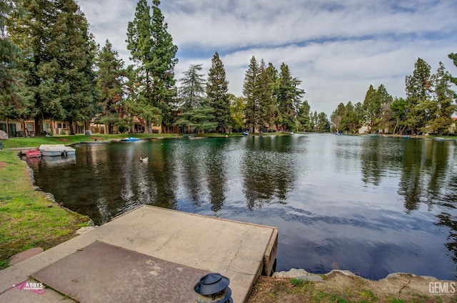 dock area featuring a water view