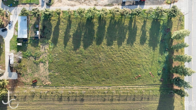 11800 Snow Rd, Bakersfield, CA 93314 - birds eye view of property