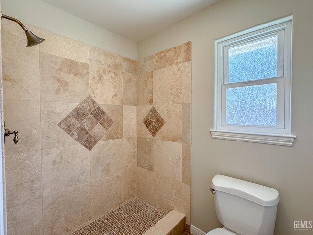 12301 Nacelle Ave, Bakersfield, CA 93312 - full bath featuring tiled shower