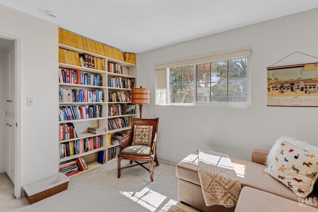 sitting room with a textured ceiling and carpet