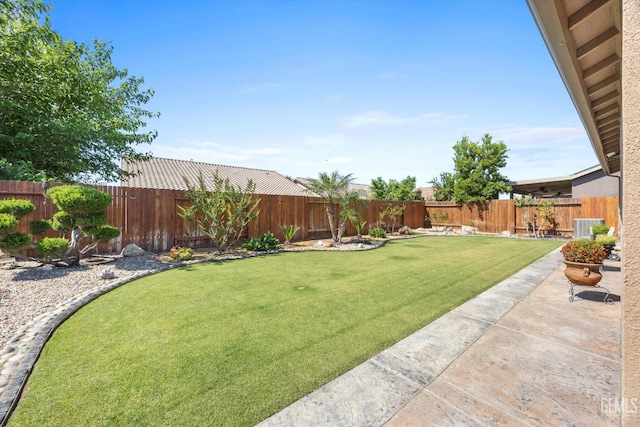 view of yard with a patio area