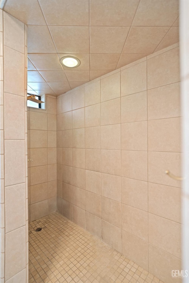 7108 Luke Ave, Bakersfield, CA 93308 - bathroom with tiled shower