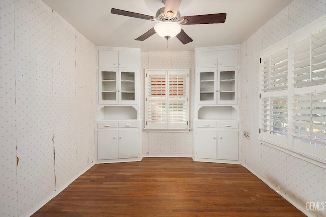 interior space featuring dark hardwood / wood-style floors, a wealth of natural light, and ceiling fan