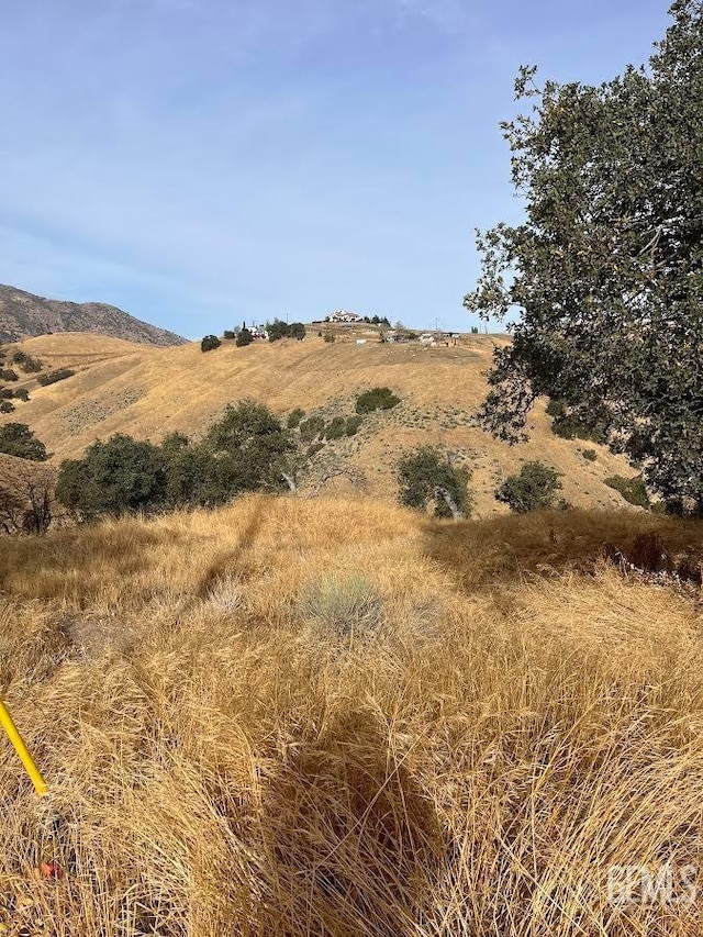 23029 Tulip St, Tehachapi CA, 93561 land for sale