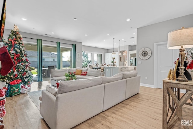 living room with light wood-type flooring