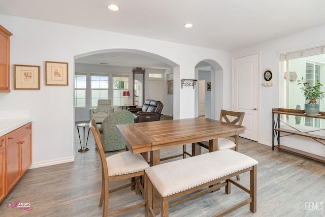 dining area with light hardwood / wood-style floors and a healthy amount of sunlight