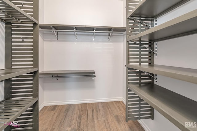 spacious closet with hardwood / wood-style flooring