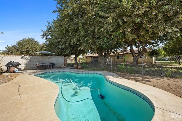 view of swimming pool featuring a fenced in pool, a patio area, a fenced backyard, and area for grilling