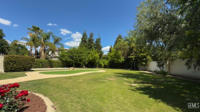 3006 Springbank Ct, Bakersfield, CA 93311 - view of yard with a putting green
