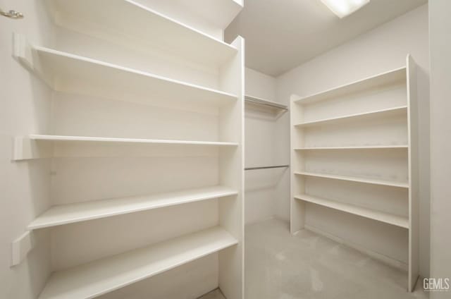 spacious closet featuring light carpet