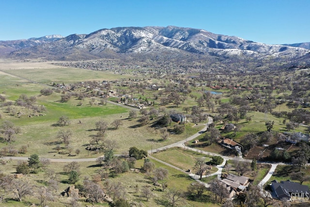 29201 Angus Ct, Tehachapi, CA 93561 - view of mountain background
