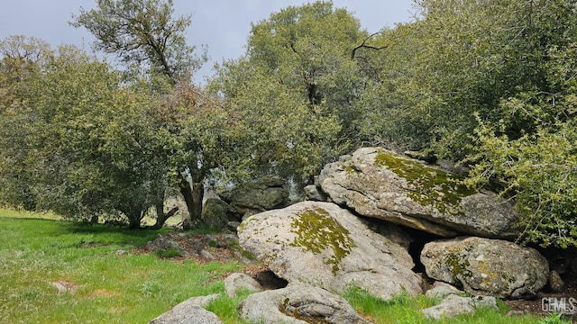 29201 Angus Ct, Tehachapi, CA 93561 - view of yard