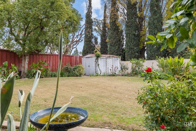 view of yard featuring a storage unit