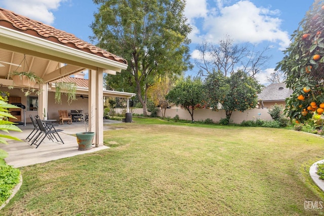 view of yard featuring ceiling fan and a patio