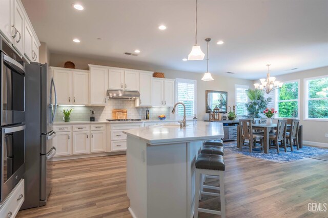 13620 Stonethwaite Ln, Bakersfield, CA 93311 - kitchen featuring appliances with stainless steel finishes, under cabinet range hood, light wood-type flooring, recessed lighting, and backsplash
