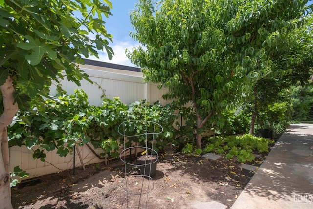 13620 Stonethwaite Ln, Bakersfield, CA 93311 - view of yard