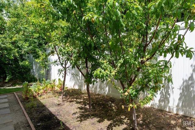 13620 Stonethwaite Ln, Bakersfield, CA 93311 - view of fenced yard