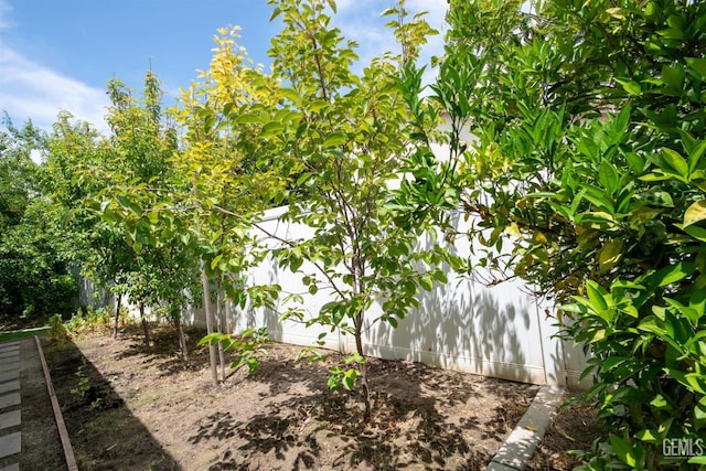 13620 Stonethwaite Ln, Bakersfield, CA 93311 - view of yard