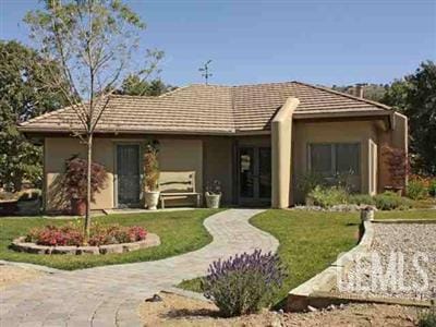back of house with a yard and stucco siding