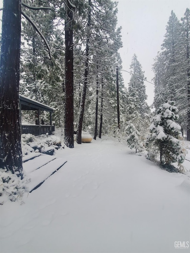 view of yard layered in snow