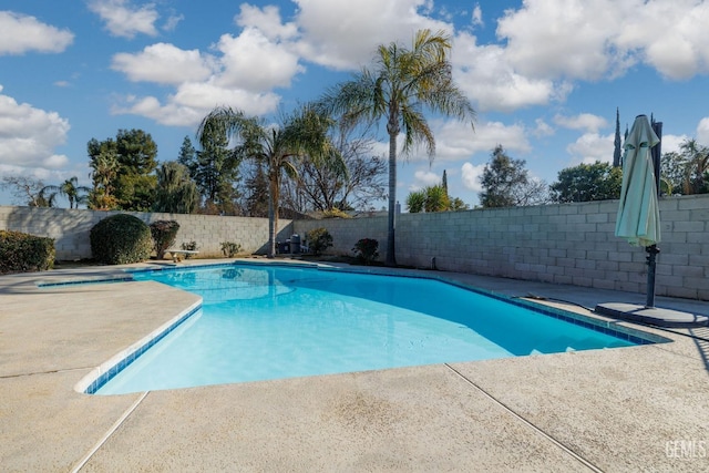 view of pool with a patio