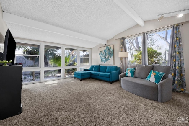 sunroom featuring rail lighting and lofted ceiling with beams