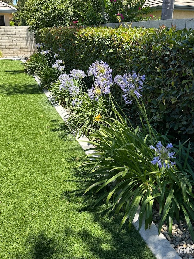 10011 Rosebud Ave, Bakersfield, CA 93311 - view of grassy yard