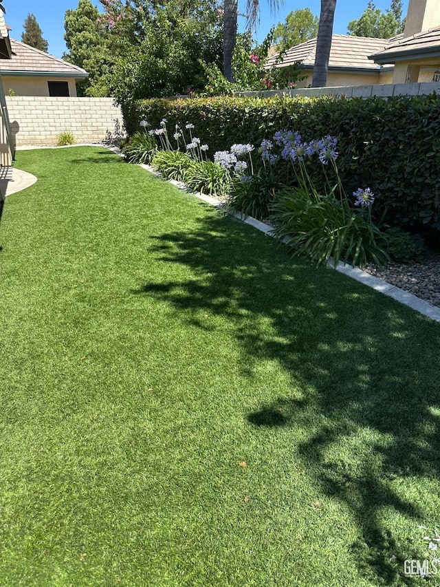 10011 Rosebud Ave, Bakersfield, CA 93311 - view of yard