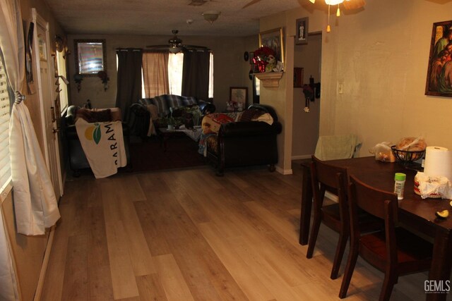 dining space with ceiling fan and light wood-type flooring