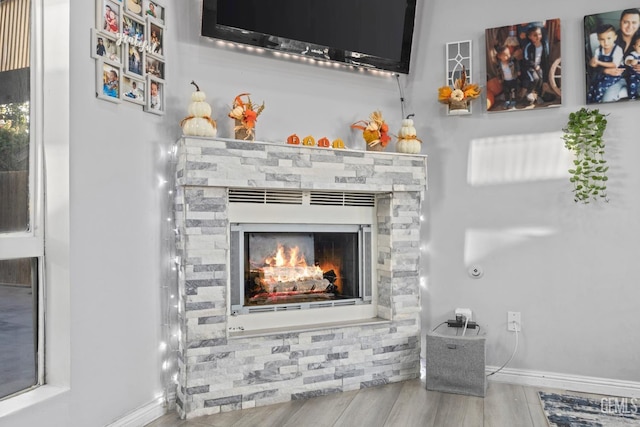 room details with a stone fireplace and wood-type flooring