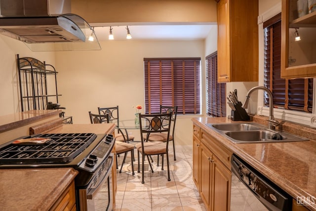 kitchen with sink, exhaust hood, and appliances with stainless steel finishes