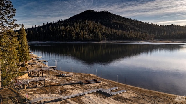 property view of water with a mountain view and a boat dock