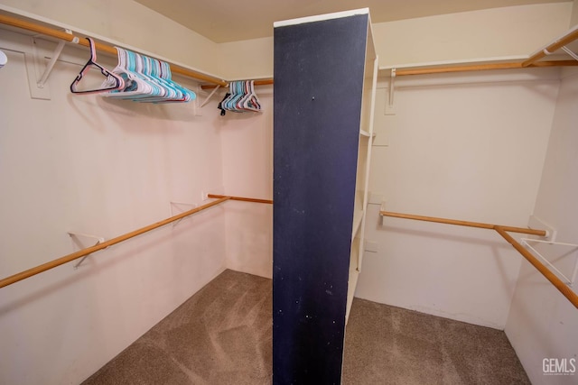 5514 Lombardy Ct, Bakersfield, CA 93308 - walk in closet featuring carpet