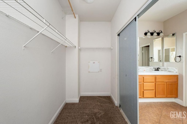 spacious closet featuring light carpet and sink