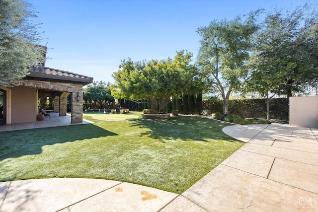 view of yard featuring a patio