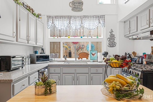 kitchen featuring gray cabinets and stainless steel appliances