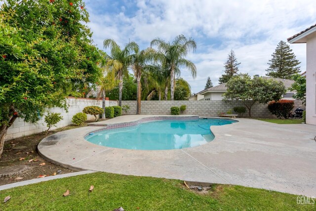 view of pool with a fenced in pool, a fenced backyard, and a patio area
