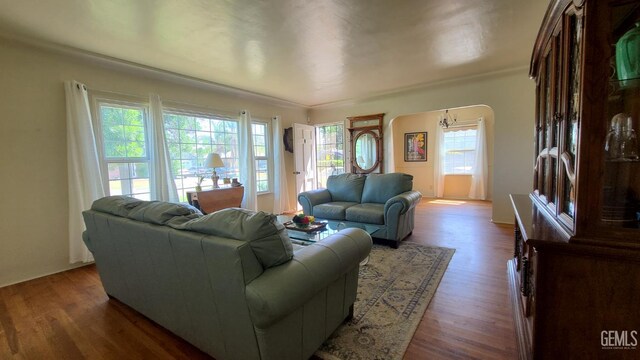 2617 4th St, Bakersfield, CA 93304 - living room with plenty of natural light, arched walkways, and wood finished floors