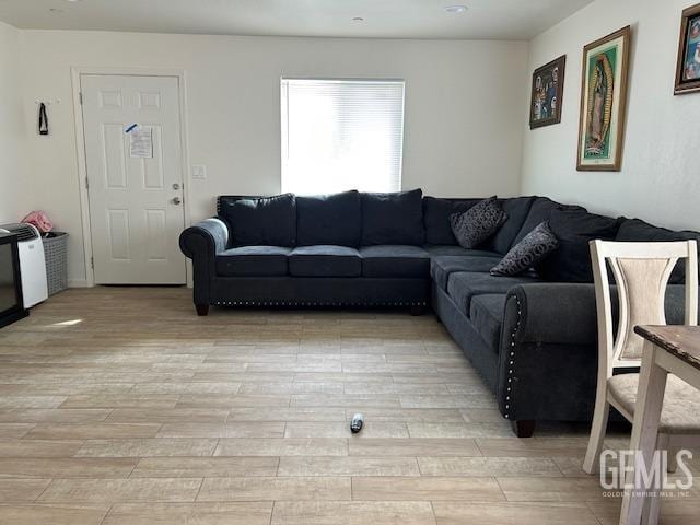 living room with wood finish floors