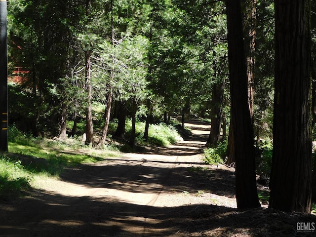 9525 Shirley Meadows Rd Unit 6, Wofford Heights, CA 93285 - view of street featuring a wooded view